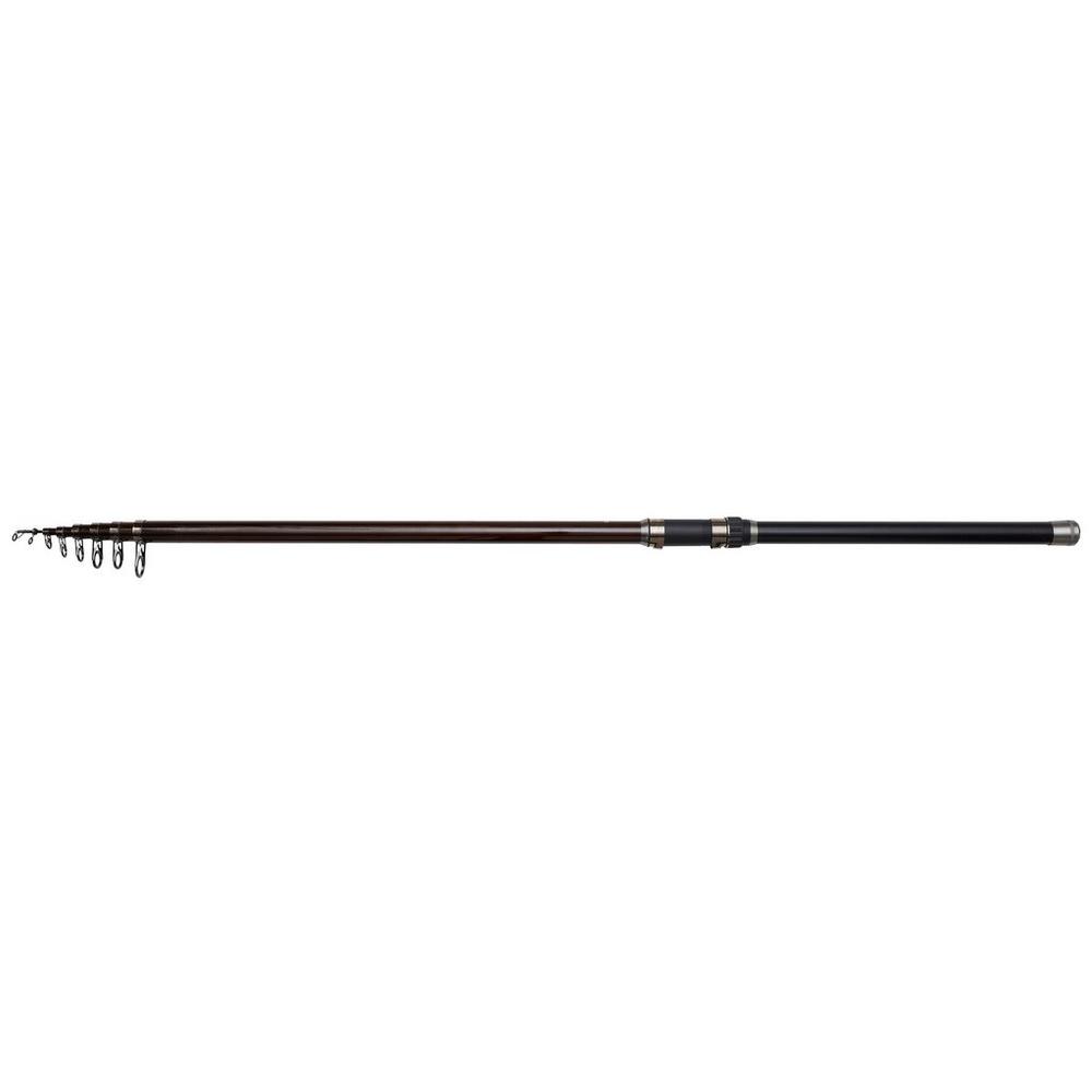 Backbone II Stellfisch Coarse Rod