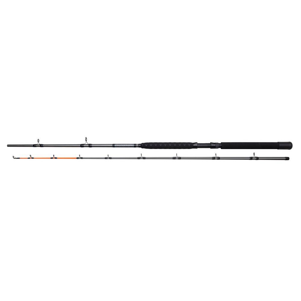 Salmonizer Planner Spinning Rod
