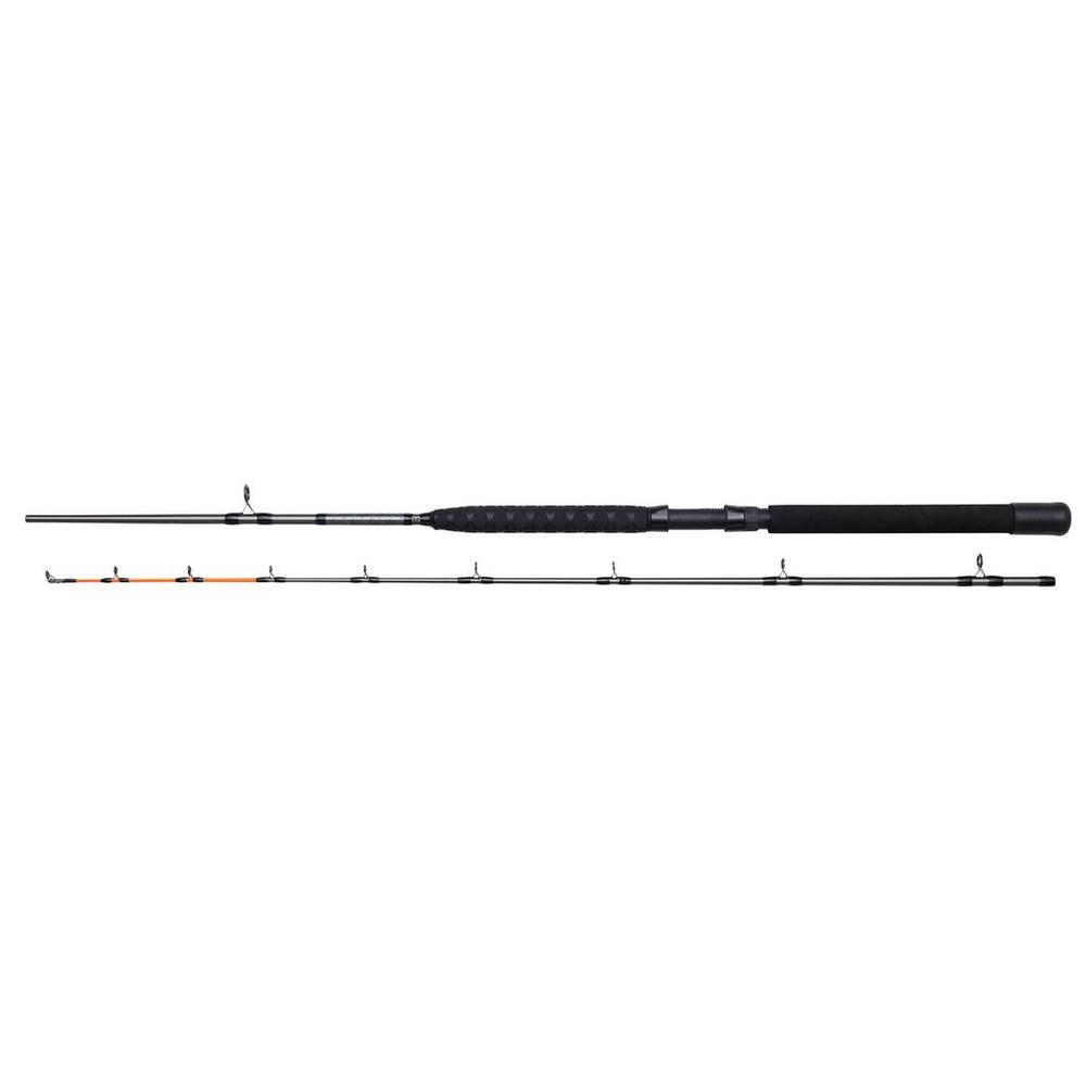 Salmonizer Trolling Spinning Rod